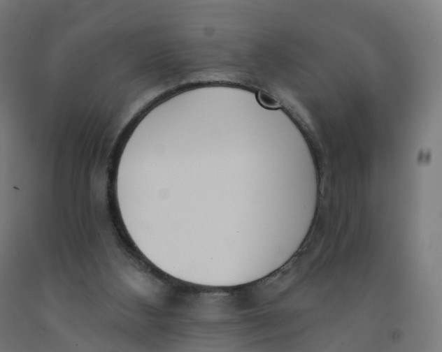 X0000091990108200709271455