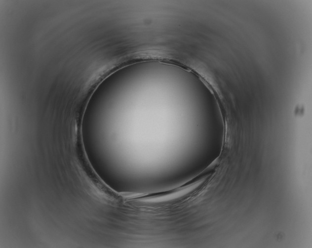 X0000091990109200709271455