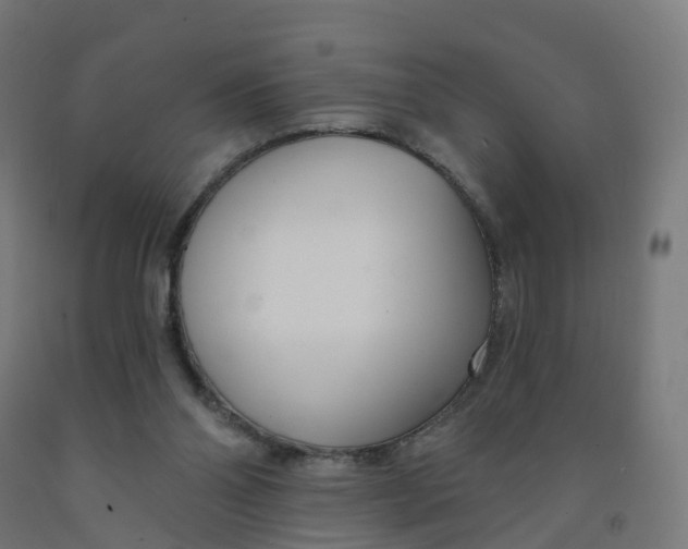 X0000091990110200709271455