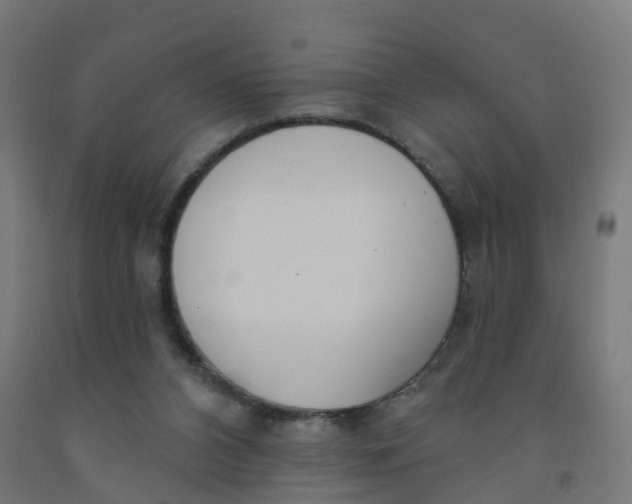 X0000091990112200709271455