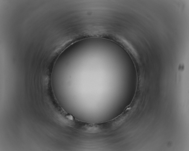 X0000091990113200709271455