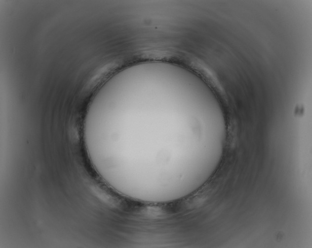 X0000091990114200709271455