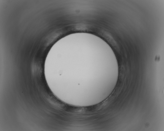 X0000091990116200709271455