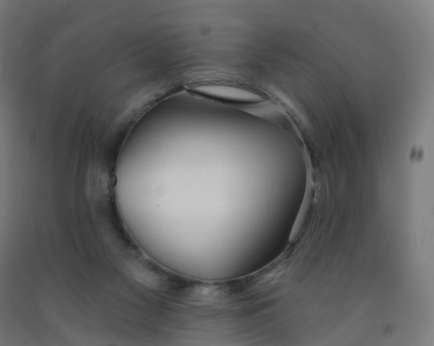 X0000091990117200709271455