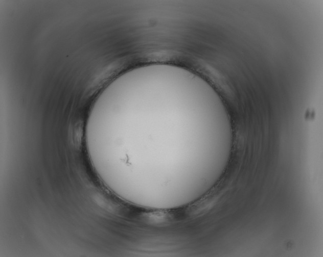 X0000091990118200709271455