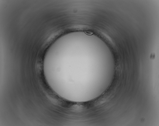 X0000091990119200709271455