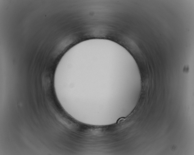 X0000091990120200709271455