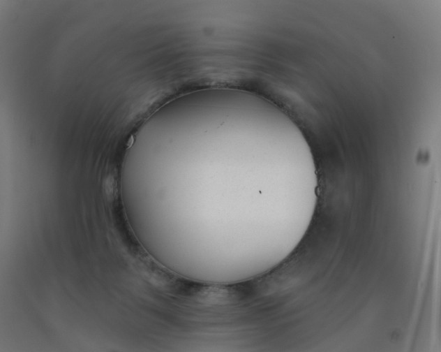 X0000091990123200709271455