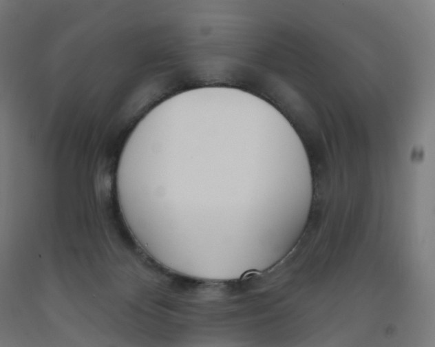 X0000091990124200709271455