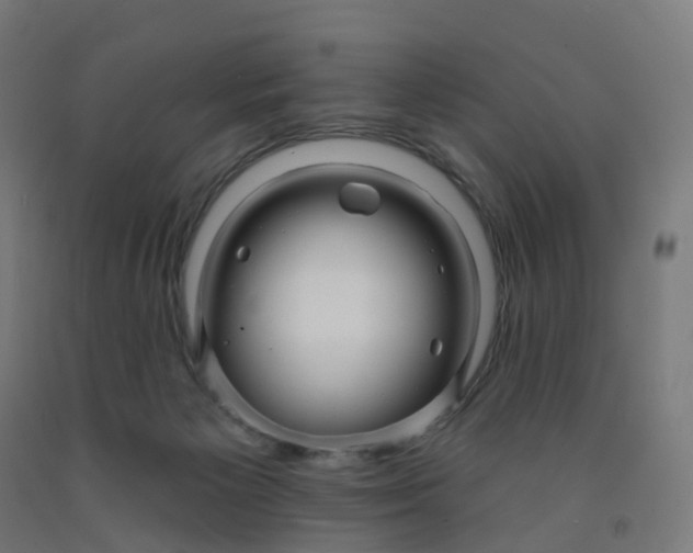 X0000091990125200709271455