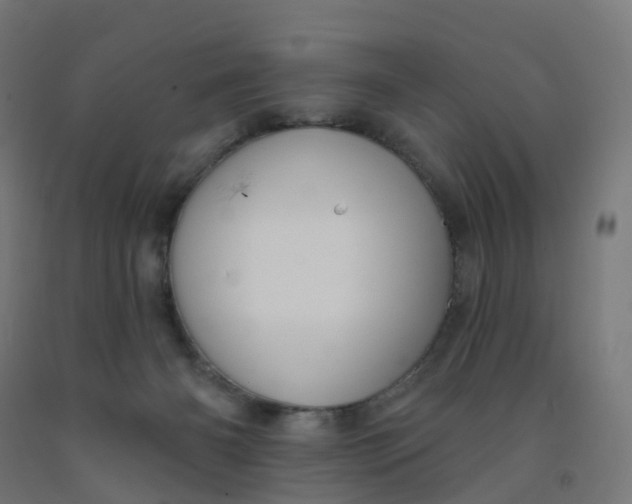 X0000091990126200709271455