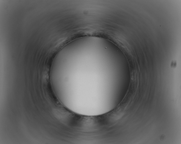 X0000091990127200709271455