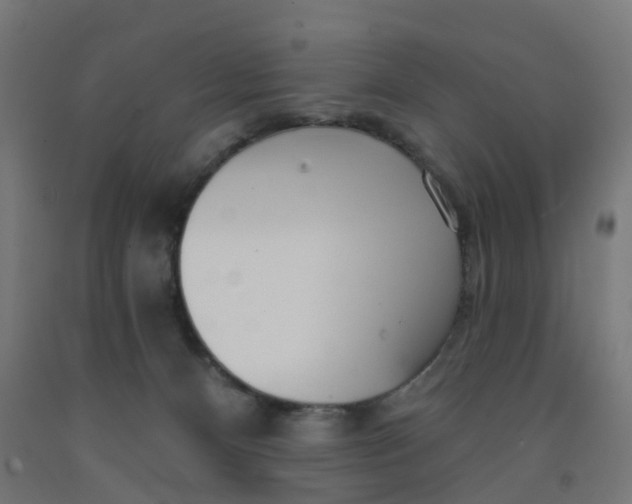 X0000091990128200709271455