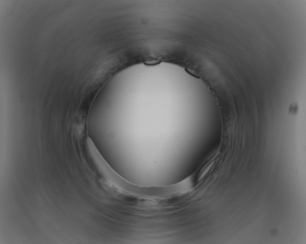 X0000091990129200709271455