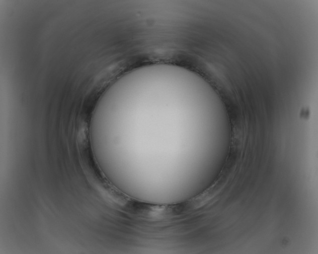 X0000091990130200709271455