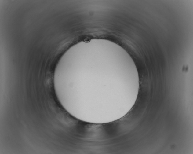 X0000091990132200709271455