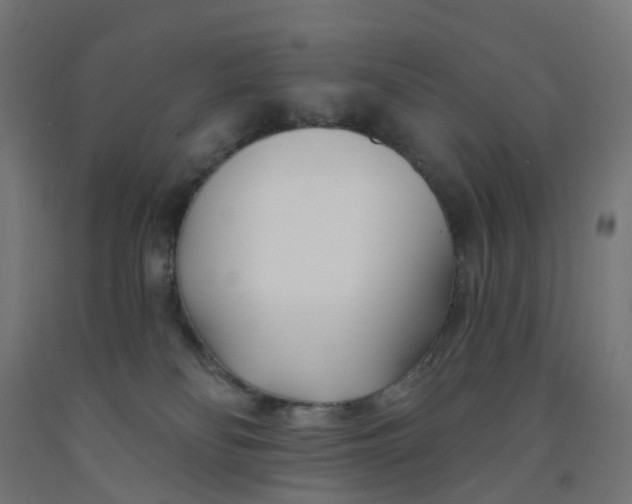 X0000091990134200709271455