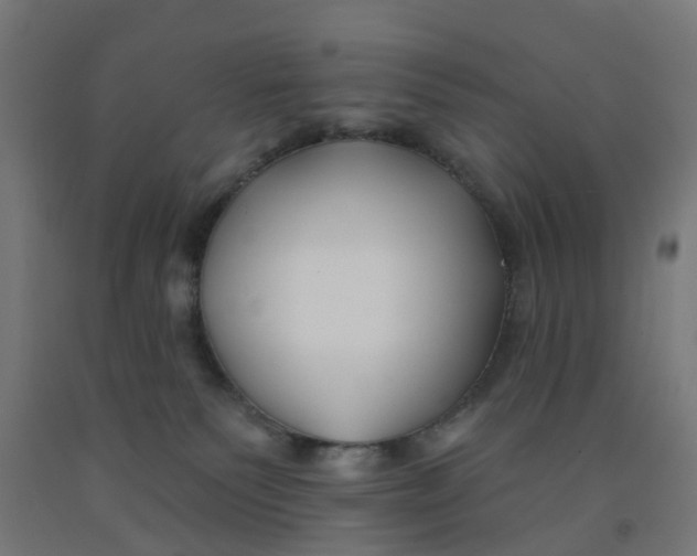 X0000091990135200709271455