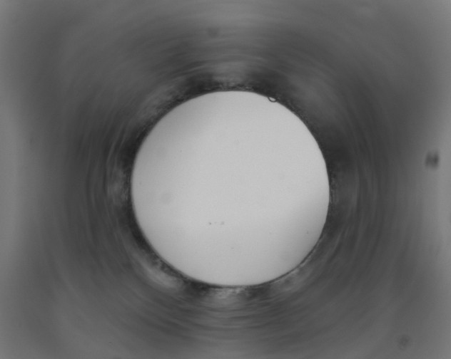 X0000091990136200709271455