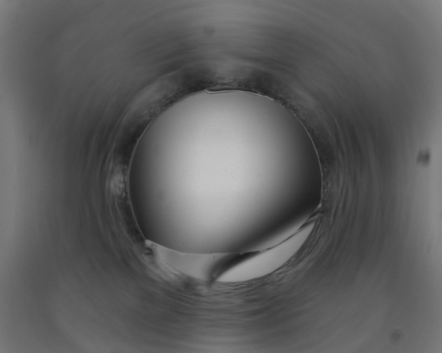 X0000091990137200709271455