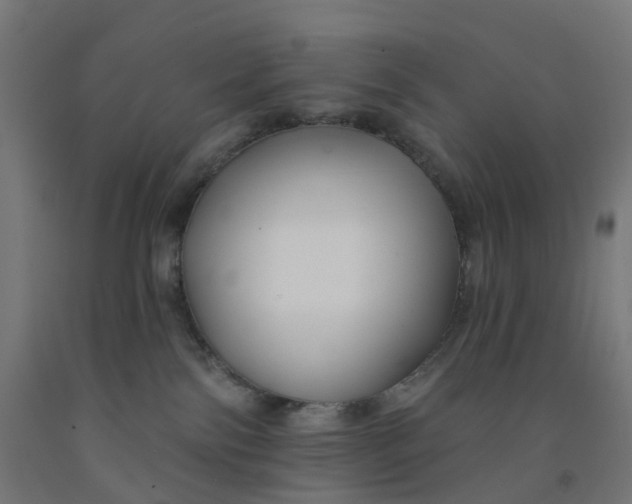 X0000091990138200709271455