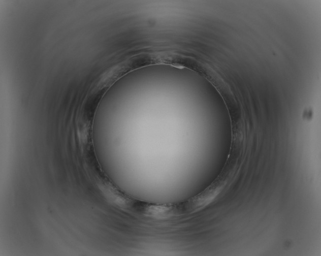 X0000091990139200709271455