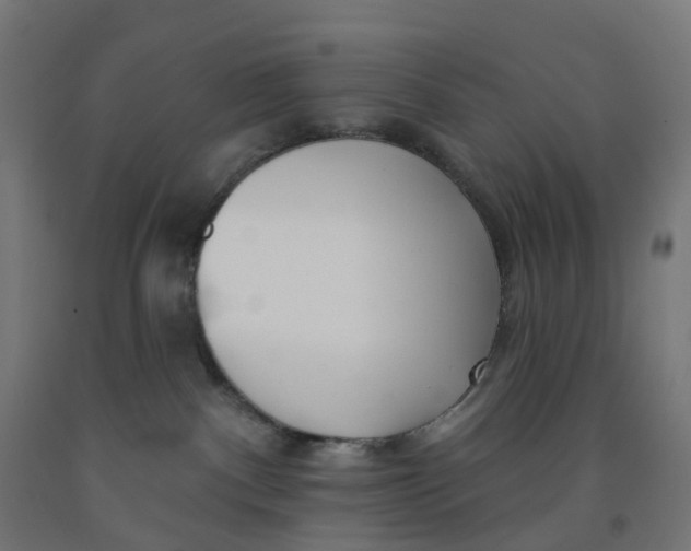 X0000091990140200709271455