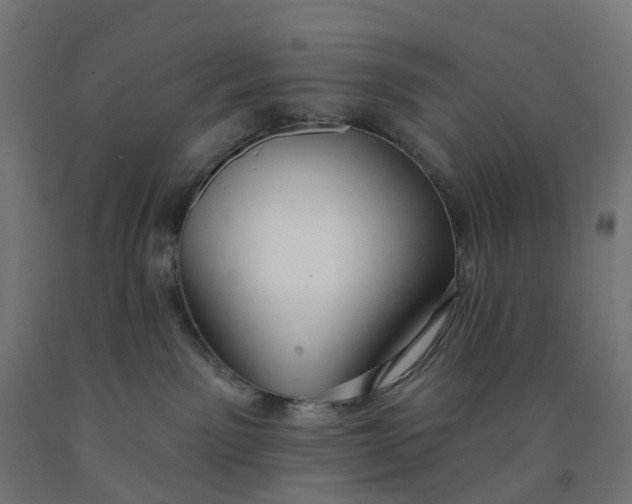 X0000091990141200709271455