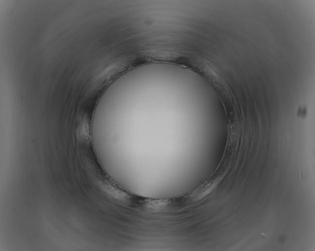 X0000091990143200709271455