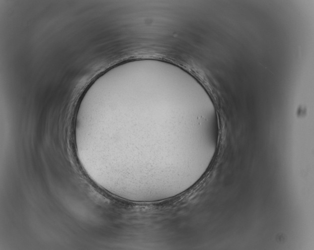 X0000091990145200709271454