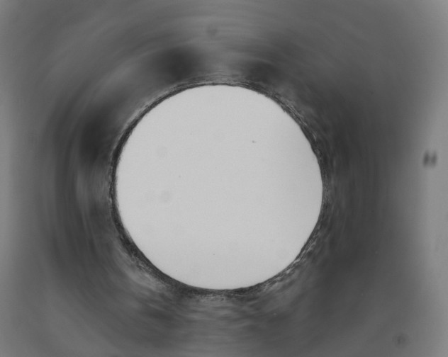 X0000091990146200709271454