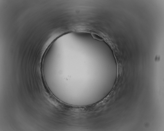 X0000091990147200709271454