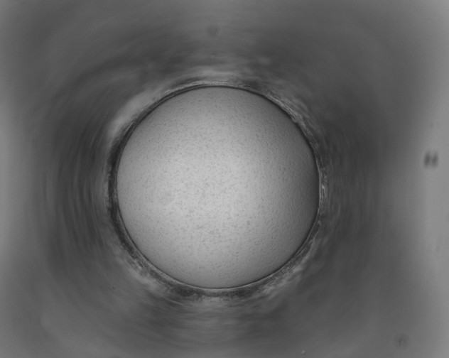 X0000091990149200709271454