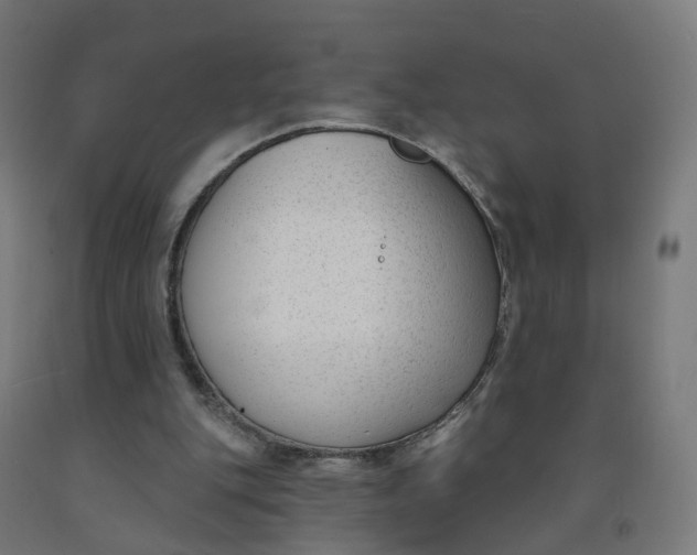 X0000091990151200709271454