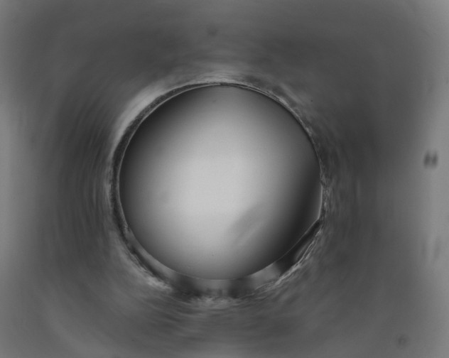 X0000091990152200709271454