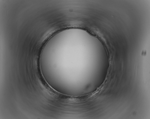 X0000091990154200709271454