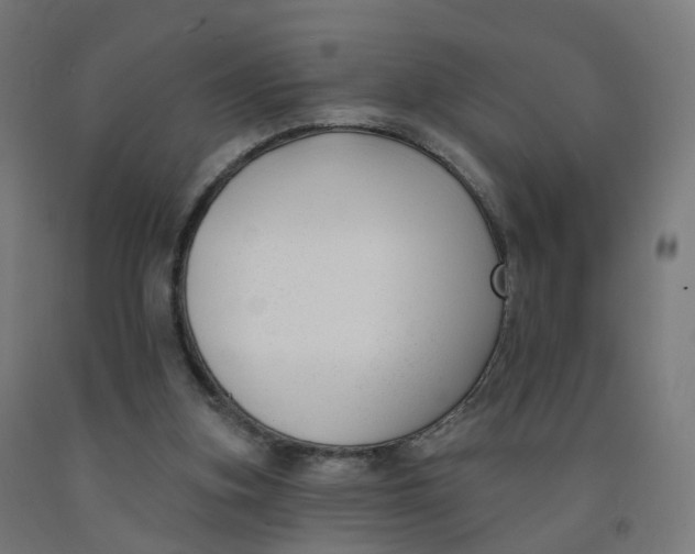 X0000091990155200709271454