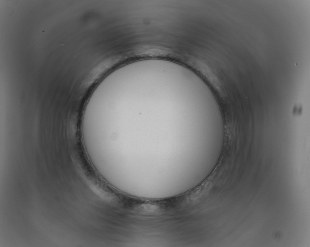 X0000091990159200709271454