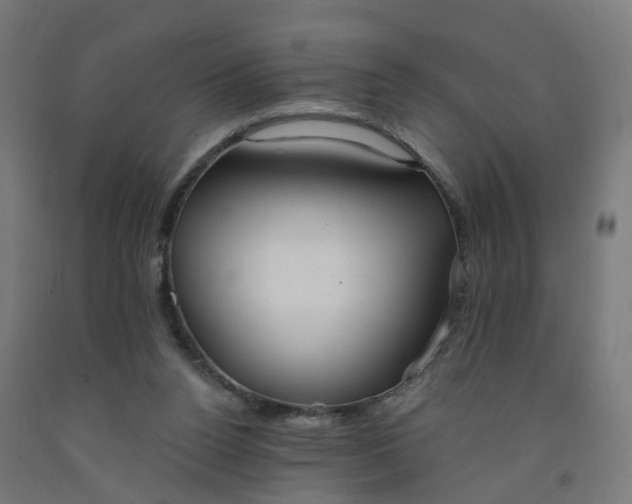 X0000091990160200709271455