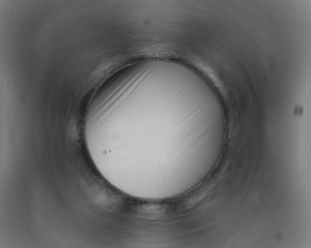 X0000091990161200709271455