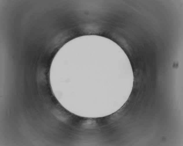 X0000091990162200709271455