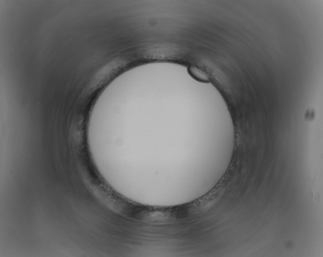 X0000091990163200709271455