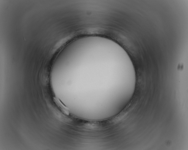 X0000091990164200709271455