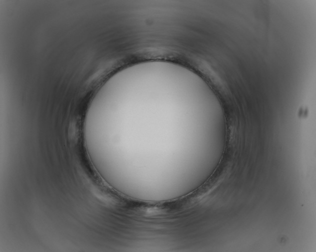 X0000091990165200709271455