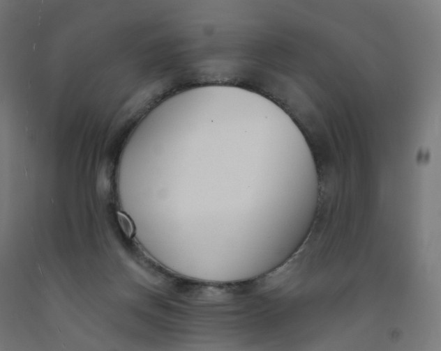 X0000091990166200709271455