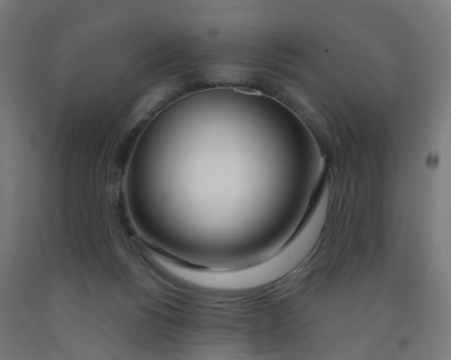 X0000091990168200709271455