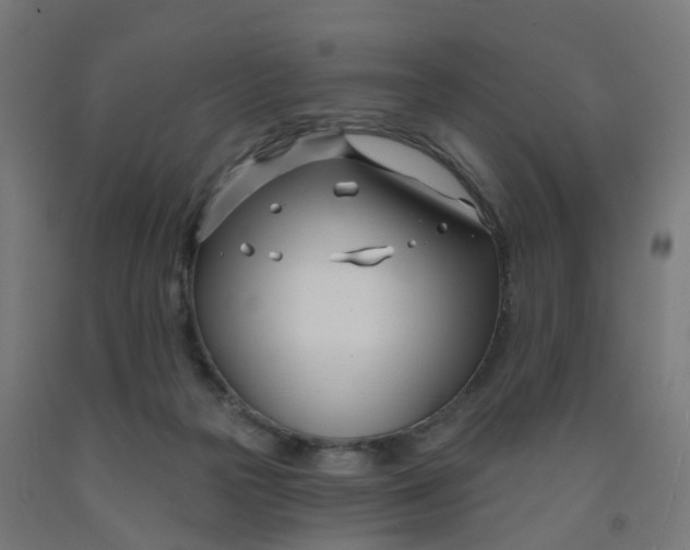 X0000091990169200709271455