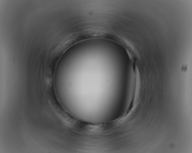 X0000091990170200709271455