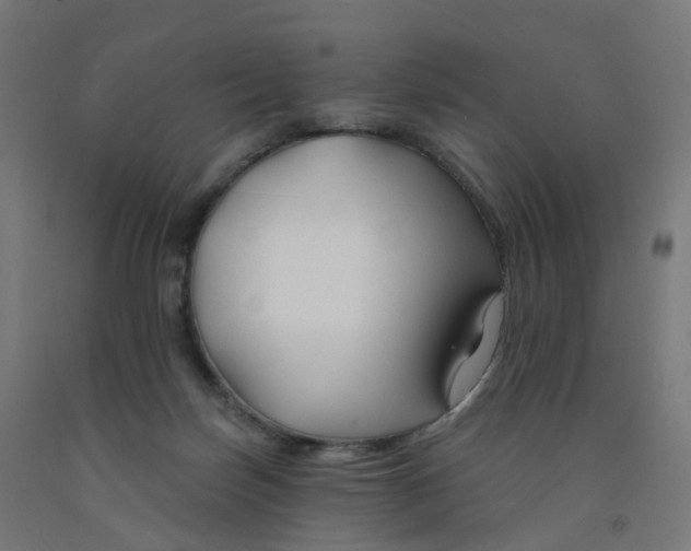 X0000091990171200709271455