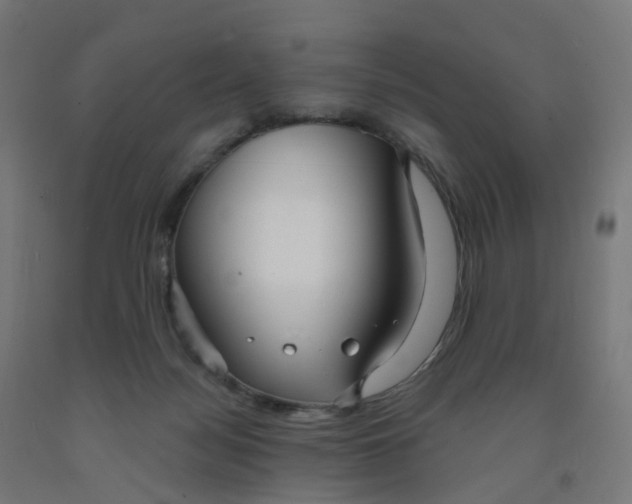 X0000091990172200709271455